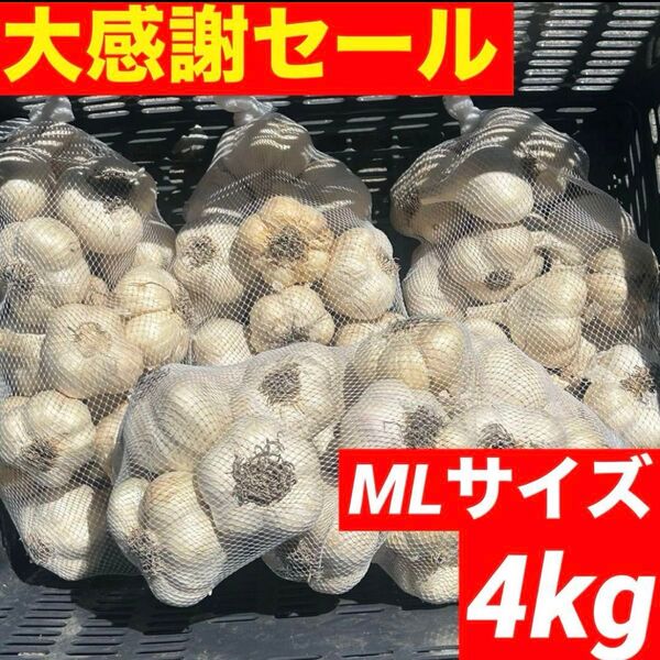 【大感謝セール】新物 青森県産 にんにく ML 4kg福地ホワイト六片