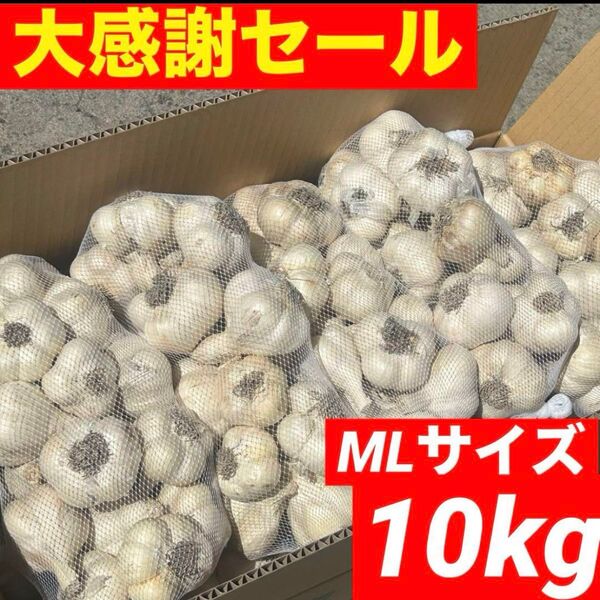 【大感謝セール】新物 青森県産 にんにく ML 10kg福地ホワイト六片