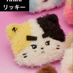 ZB1 ゼベワン リッキー rinini リニニ zeroni 絵文字バッジ