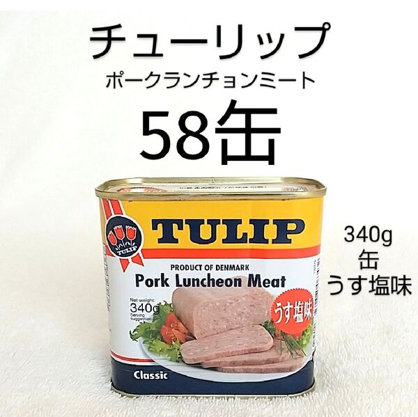 【限定1セット】チューリップポーク58缶(1缶399円) 340g うす塩味