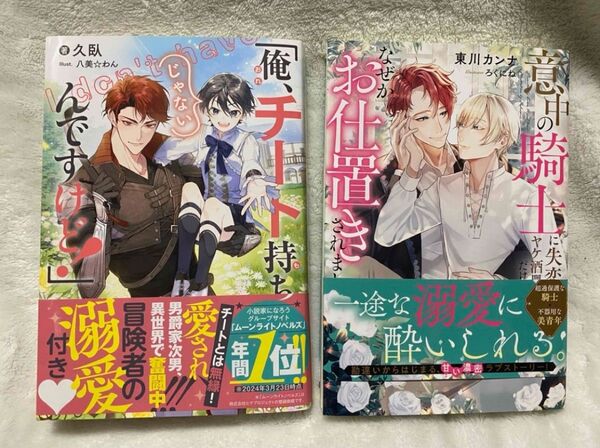 俺、チート持ちじゃないんですけど! / 意中の騎士に失恋してヤケ酒呷ってただけなのに、なぜかお仕置きされました