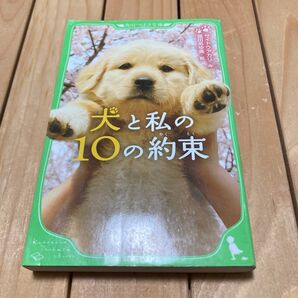 犬と私の10の約束