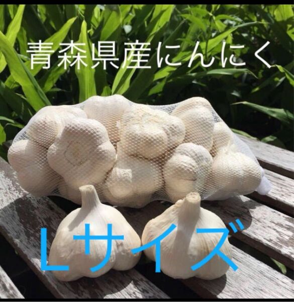 青森県産にんにくLサイズ1キロ