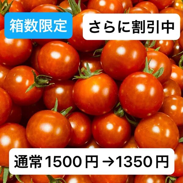 ミニトマト1kg 岐阜県中津川産