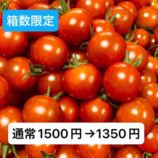ミニトマト1kg 岐阜県中津川産