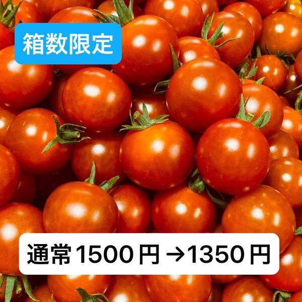 ミニトマト1kg 岐阜県中津川産