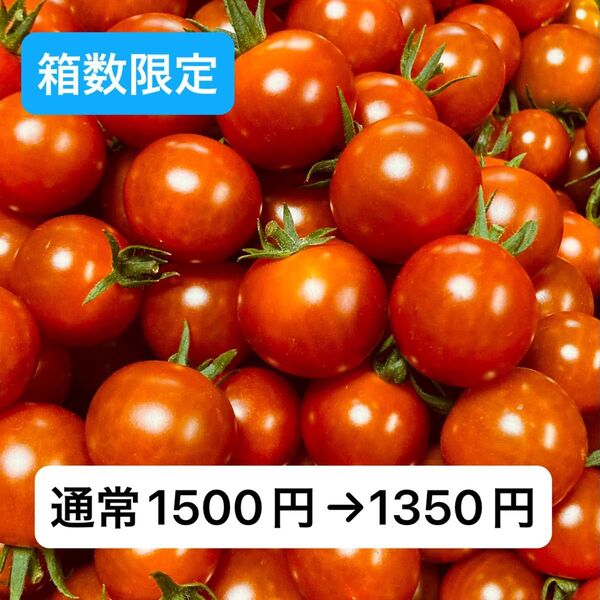 ミニトマト1kg 岐阜県中津川産