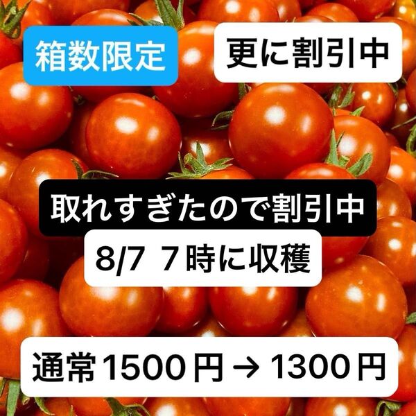 ミニトマト1kg 岐阜県中津川産