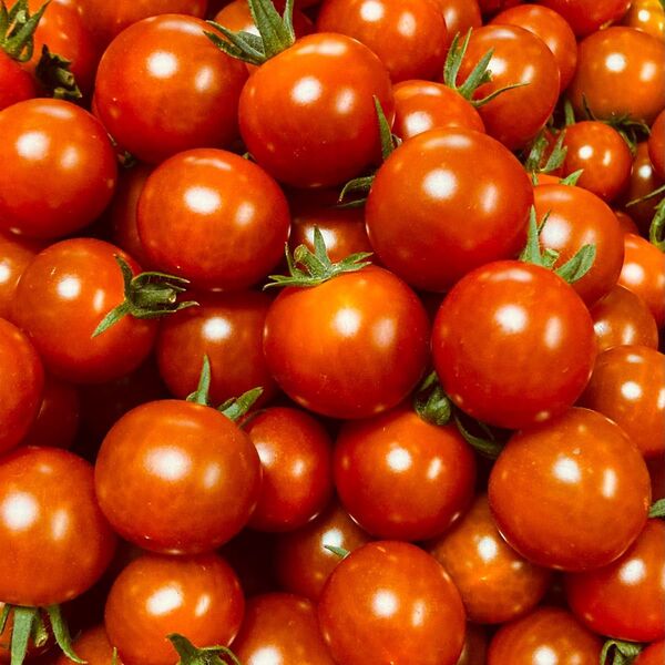 ミニトマト1kg 岐阜県中津川産