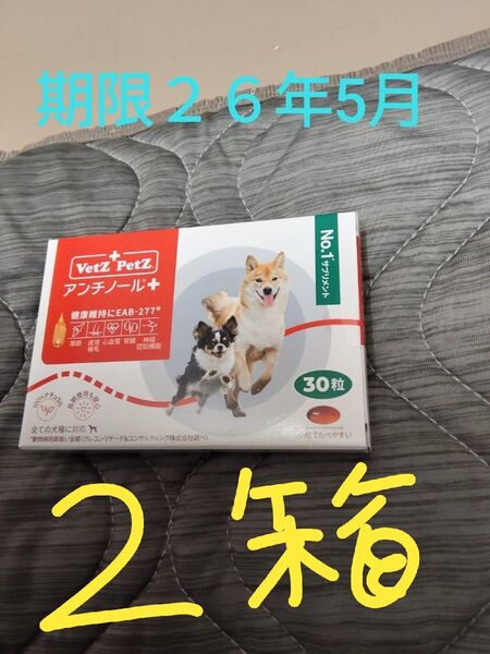Vetz Petz アンチノール+ 30粒×2箱 賞味期限2026年5月
