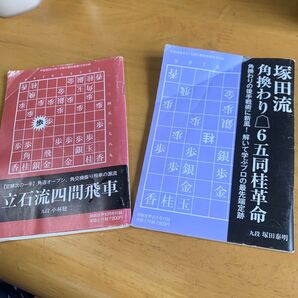 将棋世界の付録