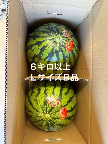 1b-10 農家直送 すいか 大玉 スイカ 祭りばやし 神奈川 三浦すいか 訳あり 家庭用 2個入り 6キロ以上 Lサイズ