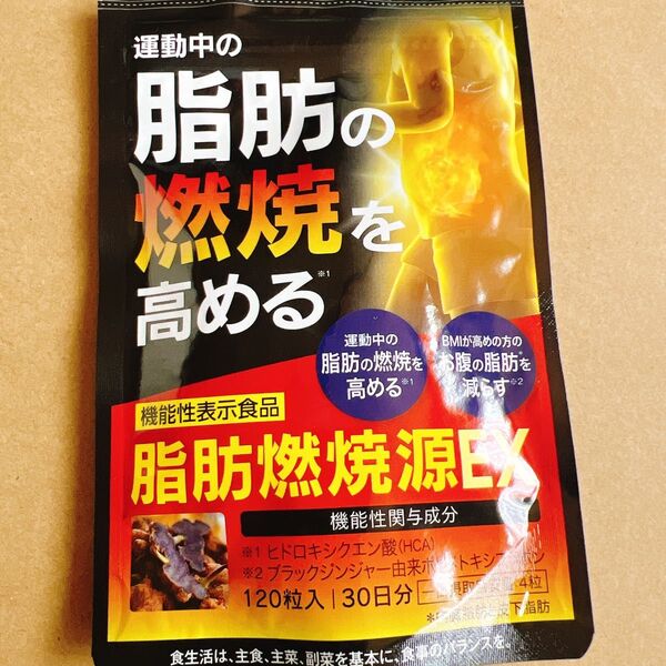 脂肪減少源EX PREMIUM 120粒入り 30日分 機能性表示食品 ヒドロキシクエン HCA ブラックジンジャー