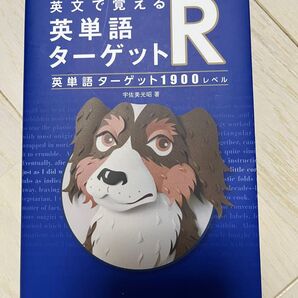 ターゲット R1900