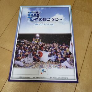夢の向こうに… 野球雑誌