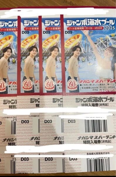 【2枚】ナガシマスパーランド プール 長スパ 入場券 遊園地 長島ジャンボ海水プール