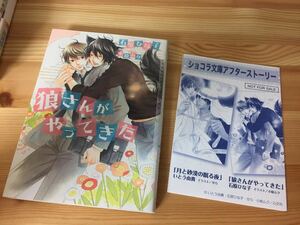 送料180円 非売品アフターストーリー冊子付き 石原ひな子 狼さんがやってきた /月と砂漠の眠る夜/いとう由貴