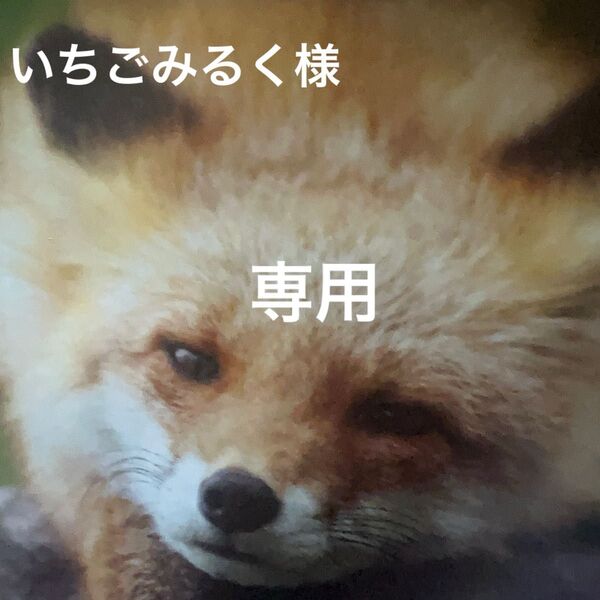 花柄半袖Tシャツ 他3点