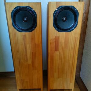 分割② AudioNirvana Super-8 ネオジム スリットバスレフ 20cmフルレンジ