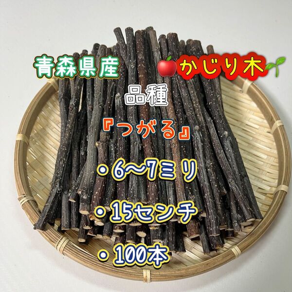 青森県産 りんごの木 かじり木 『つがる』100本