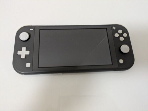 スイッチ ライト 任天堂 Nintendo Switch Lite グレー 本体 初期化済み カバーケース付