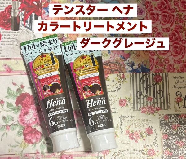 テンスター ヘナ カラートリートメント6G ダークグレージュ 2本