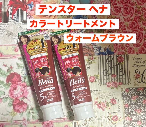 テンスター ヘナ カラートリートメント5W ウォームブラウン 2本