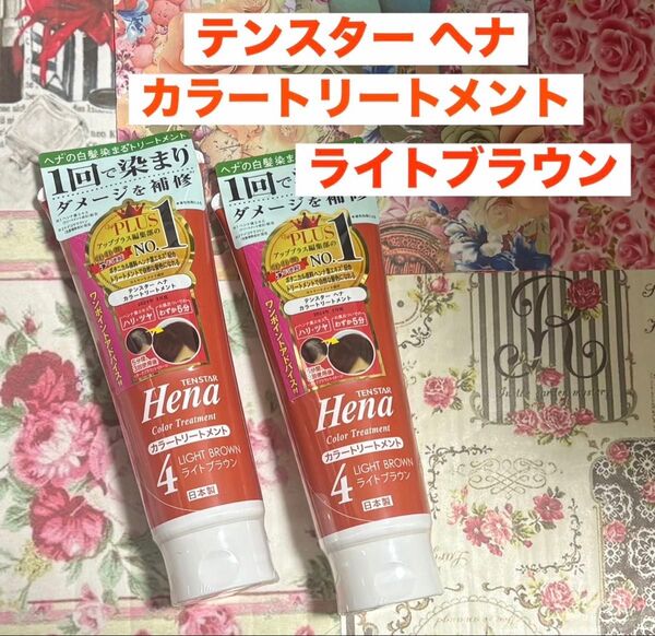 テンスター ヘナ カラートリートメント4 ライトブラウン 2本