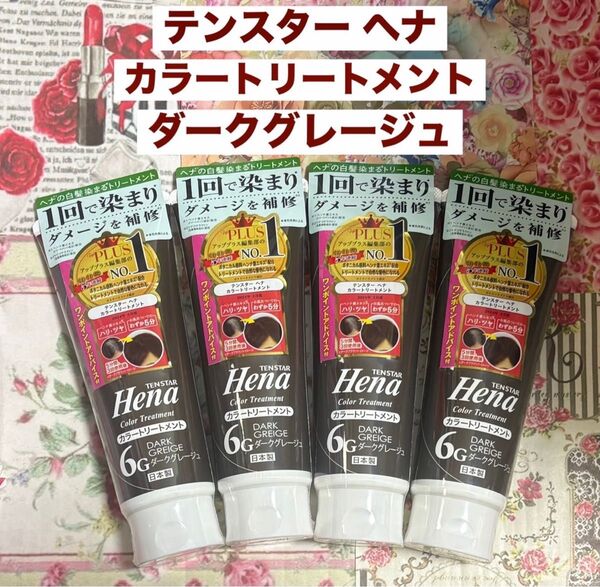 テンスター ヘナ カラートリートメント6G ダークグレージュ 4本