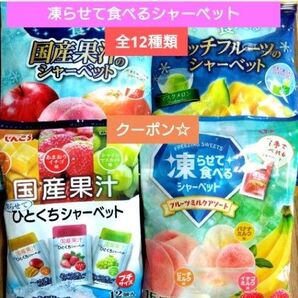 ☆全12種類☆凍らせて食べるシャーベット【4袋 合計57個】 ★特価★綿棒