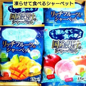 国産果汁 リッチフルーツ 凍らせて食べるシャーベット【4袋 合計60個】桃 メロン ★特価★