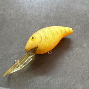 レーベル ディープウィーR