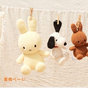専用ページ ここあ 様