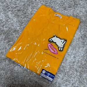 【新品未使用未開封品】24時間テレビ チャリTシャツ 2001年 モーニング娘。飯田圭織デザイン Mサイズ