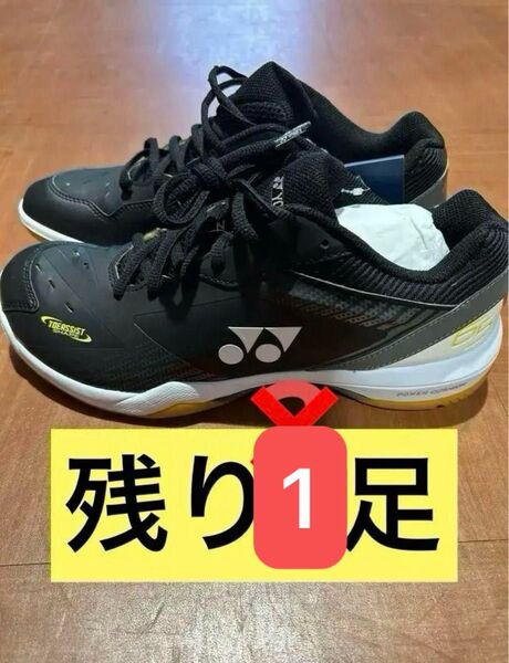 廃盤!希少価値! ヨネックス YONEX バドミントン シューズ SHB65Z3