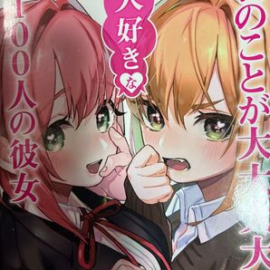 またアニメ化!ヒロイン100人出るの?中村力斗原作。野澤ゆき子作画「君のことが大大大大大好きな100人の彼女」1、2巻2冊セット。