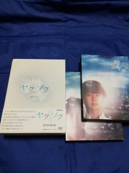 ヤクソク DVD BOX 南野陽子