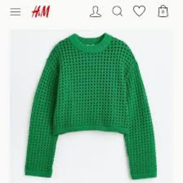 H&M ショート丈メッシュ編み ニットセーター クロップド丈