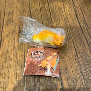 拒否犬ストラップ3 丸まり拒否犬赤茶 ガチャガチャ
