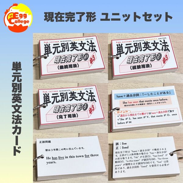 【現在完了形】単元別英文法カード 中学生 テスト 復習 予習 試験 参考書 英単語 中学英語 検定 暗記カード 単語カード