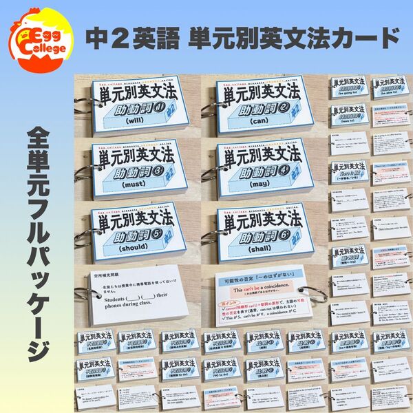 【中2フルパッケージ】単元別英文法カード 中学生 テスト 復習 予習 試験 参考書 英単語 中学英語 検定 暗記カード 単語カード