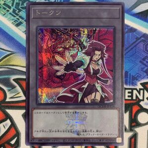 遊戯王カード QCDB-JPT14 トークンパック ブラックローズドラゴン 十六夜アキ SE シークレットレア シク