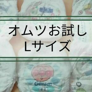 おむつ お試し Lサイズ パンツタイプ テープタイプ 組み合わせ自由 紙おむつ