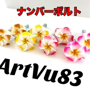 ナンバーボルト プルメリア 花 フラワー