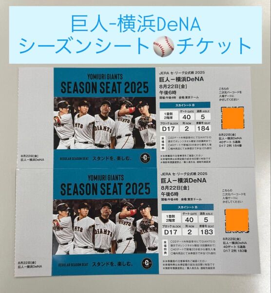 巨人-横浜DeNA シーズンシート チケット 2枚