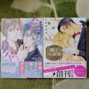 BL漫画 偽りのカグヤくん 吹山りこ 殿とつばめ 小石川あお バラ売り不可 入れ替え可能 極厚の為、同梱不可