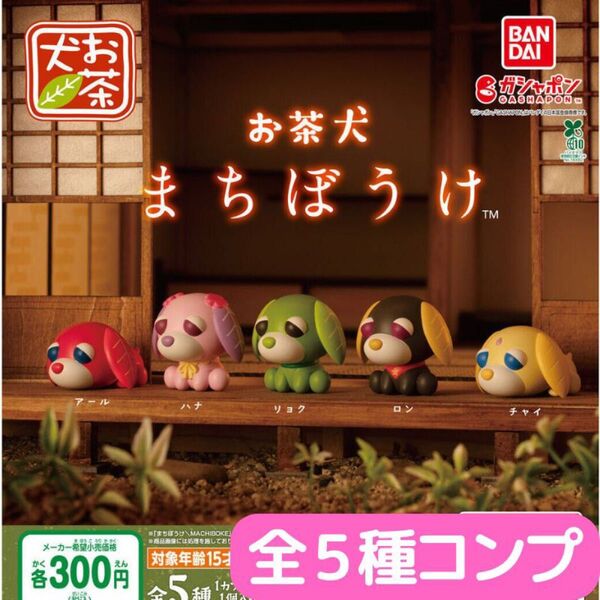 お茶犬 まちぼうけ 全5種 セット
