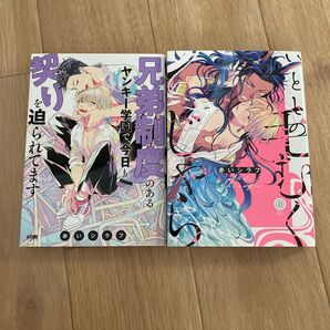 BL 漫画 コミック 本 赤いシラフ