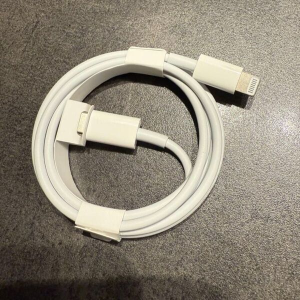 純正 iPhone 付属品 USB-C ライトニングケーブル 1m Apple Lightning タイプC