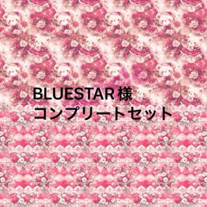 デザインペーパー、トレペBLUESTAR様コンプリート